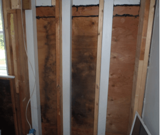 Hidden mold on wood