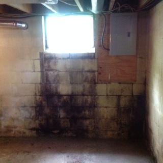 mold damage 