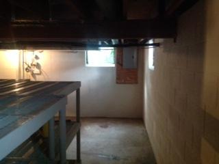 mold damage 