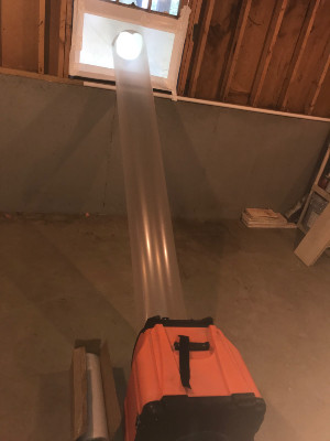 Basement mold 