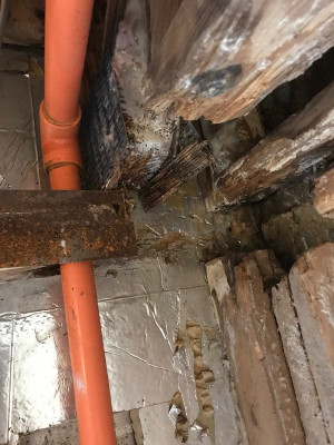 Mold due to water leakage
