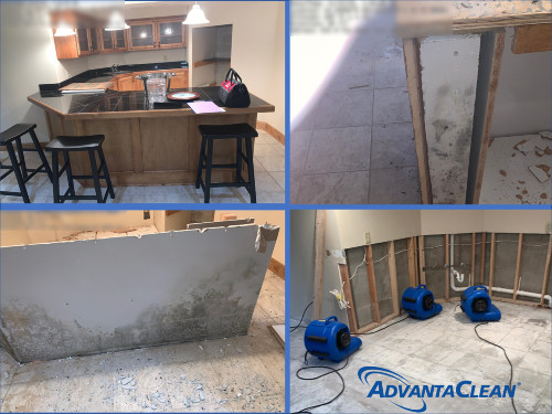 Home before and after mold cleaning