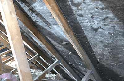 Mold in attic before cleaning