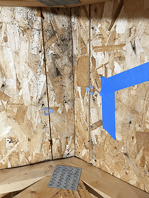 mold in attic 