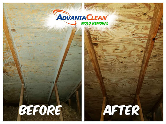 Mold removal before and after