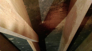 Mold in attic 