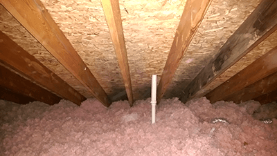mold in attic 