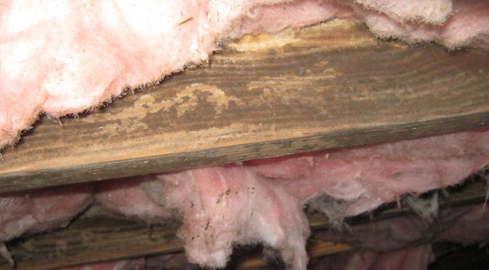 Insulation