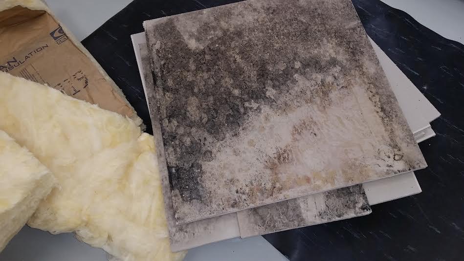 filters mold 