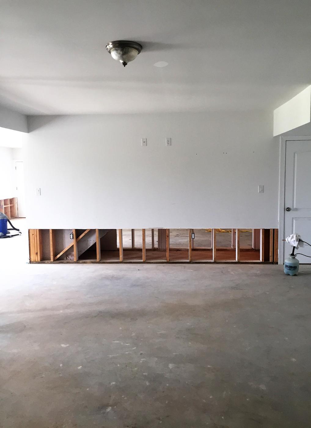 mold remediation 