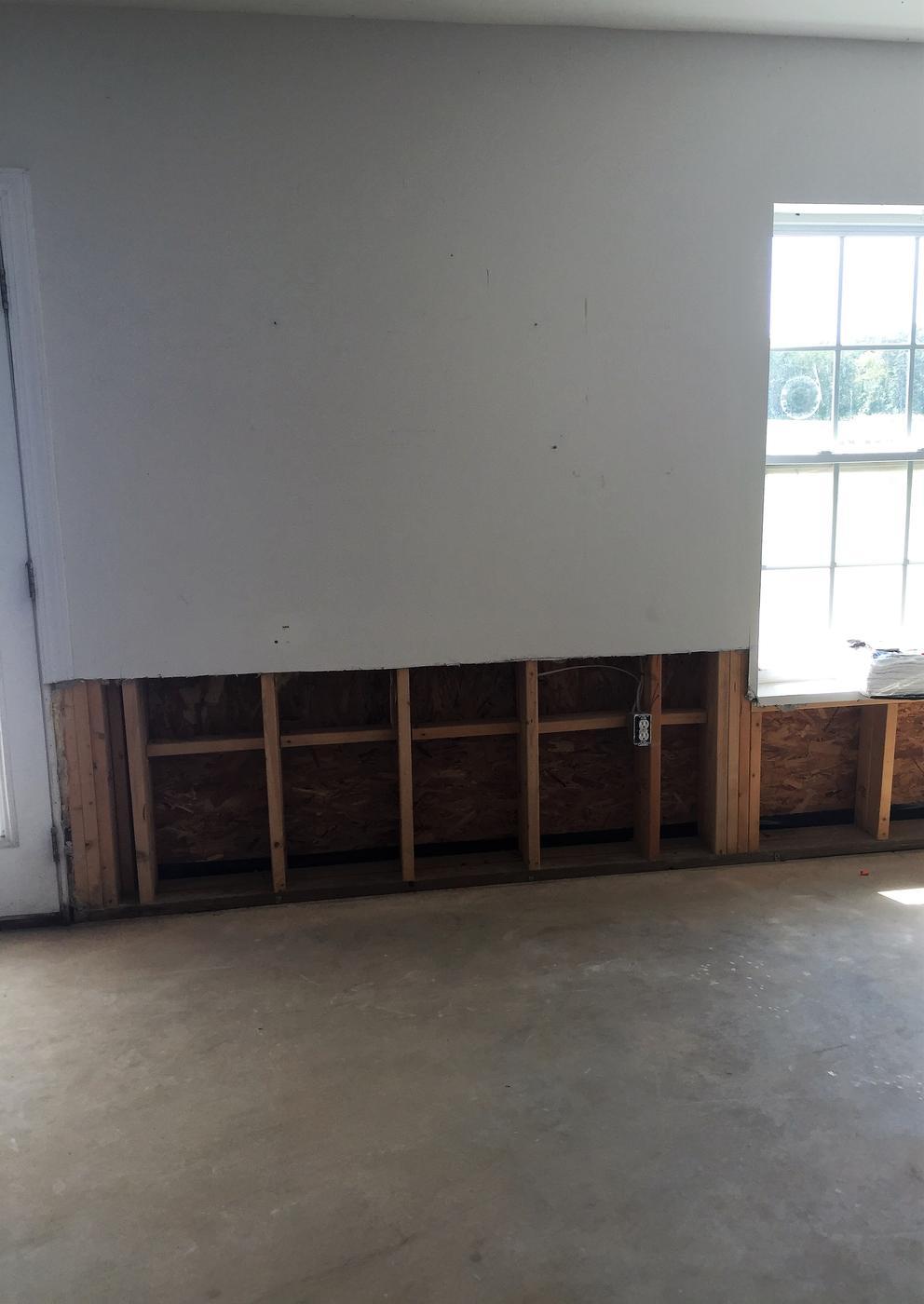 mold remediation