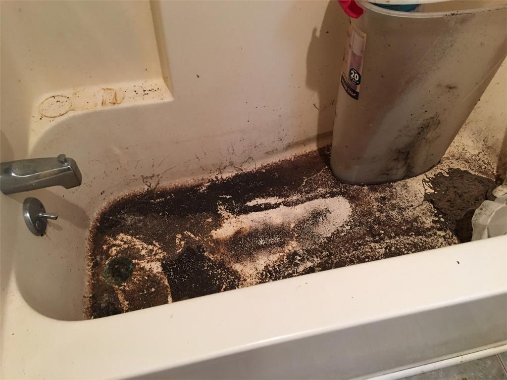 bathtub mold