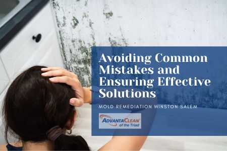 Mold Remediation Winston Salem: Avoiding Common Mistakes and Ensuring Effective Solutions