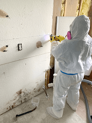 Renovating home by removing mold
