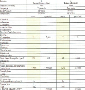 mold-report.jpg