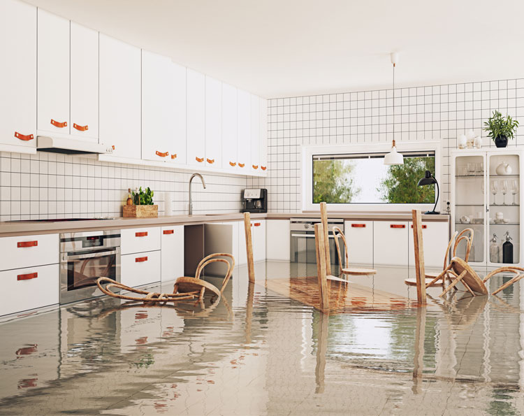 Water Damage Restoration Services for Buford, Norcross, Johns Creek, Suwanee and Peachtree Corners