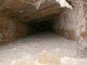 Mold in air ducts