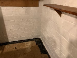 BasementMoldRemovalAfter.jpg