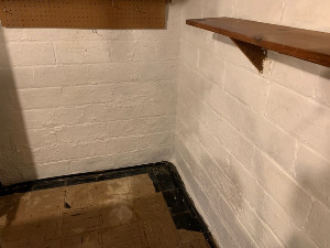 basement mold removal after