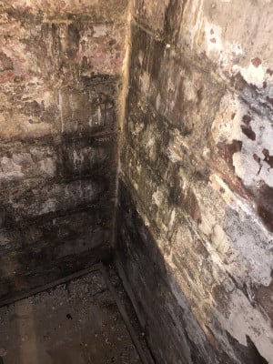 BasementMoldRemovalBefore.jpg