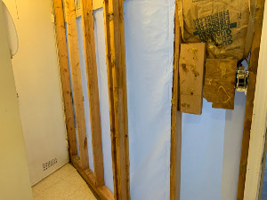 black mold bathroom