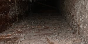 FairviewPark1Before.jpg