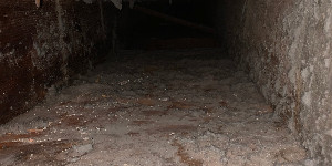 Mold in air duct before cleaning