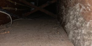 FairviewPark2Before.jpg