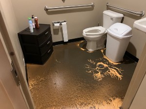 Sewage bathroom
