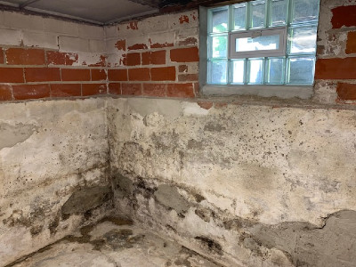basement before