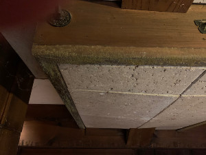 Before cleaning mold on basement wood