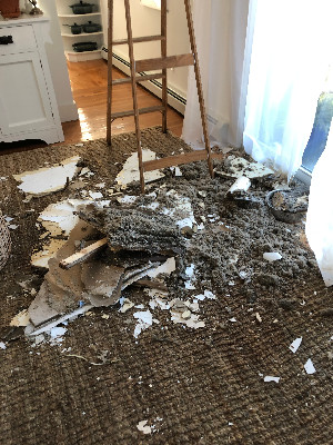 HoleinCeiling3.jpg