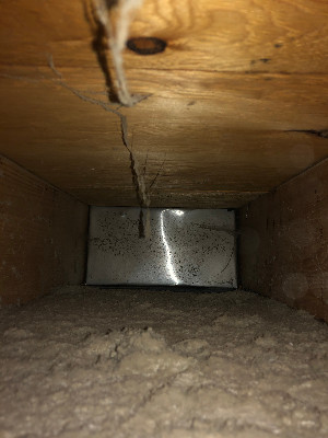Mold formed on air ducts