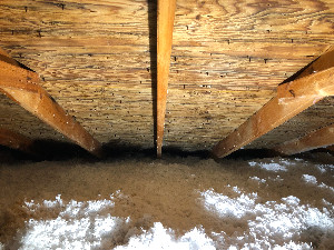 Mold Remediation in attic