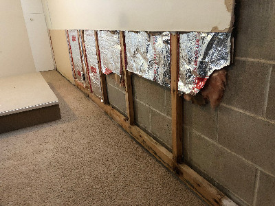 Mold removal in Residential basement