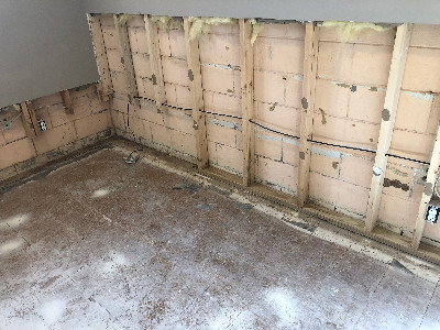Mold Remediation in basement