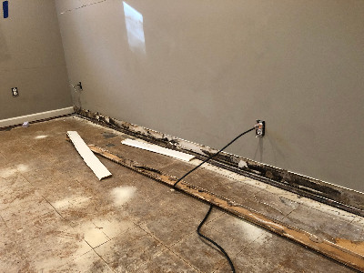 Mold in basement