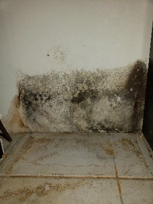 SWOmahaKitchenMoldRemediation1.jpg
