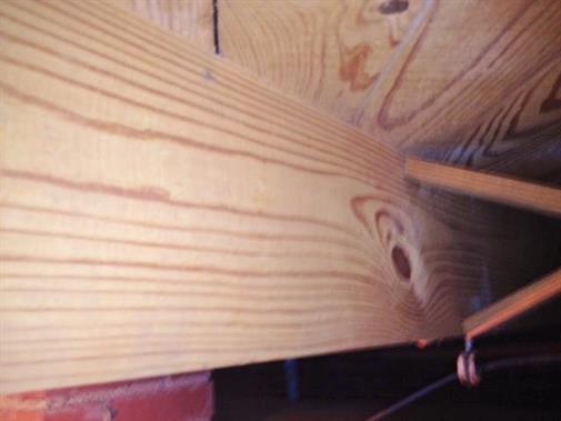 Cleaned crawlspace