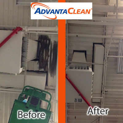 Cleaning fungal growth before and after