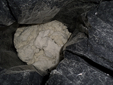 Dryer vent blockage