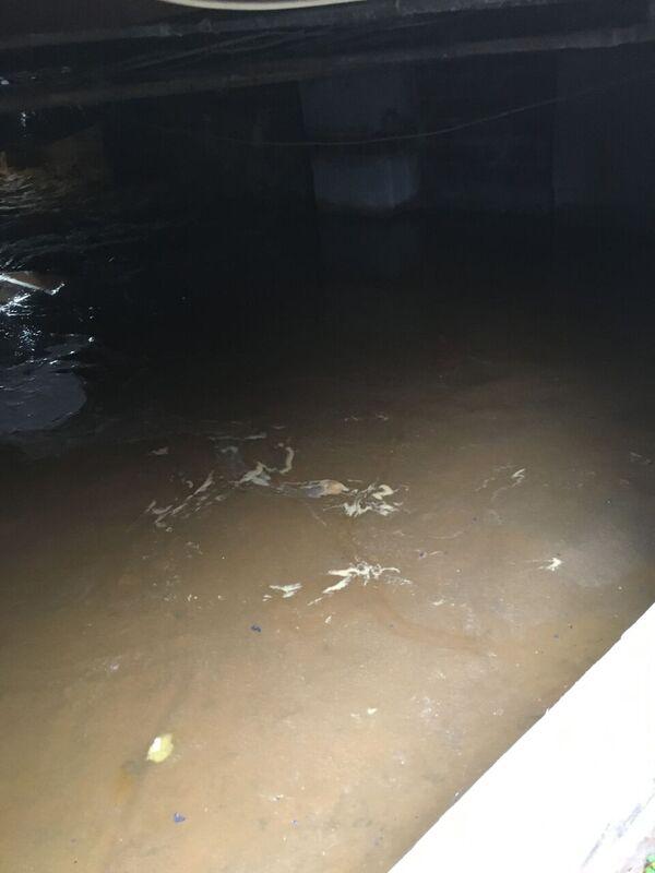 Standing water in crawlspace