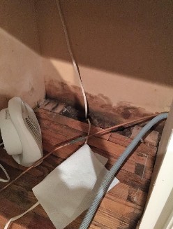 Cleaning water damage