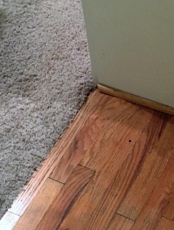 Water damage to hardwood floors