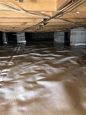 Mold remove in crawl space