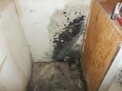 Mold growth due to water intrusion
