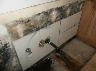 Mold growth near taps