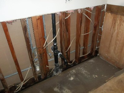 Water intrusion caused mold growth