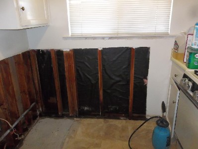 Kitchen after cleaning mold on walls