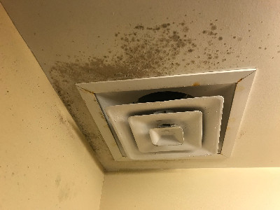 Moldy air ducts